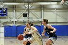 WBBall vs MHC  Wheaton College women's basketball vs Mount Holyoke College. - Photo By: KEITH NORDSTROM : Wheaton, basketball, Mount Holyoke, NEWMAC